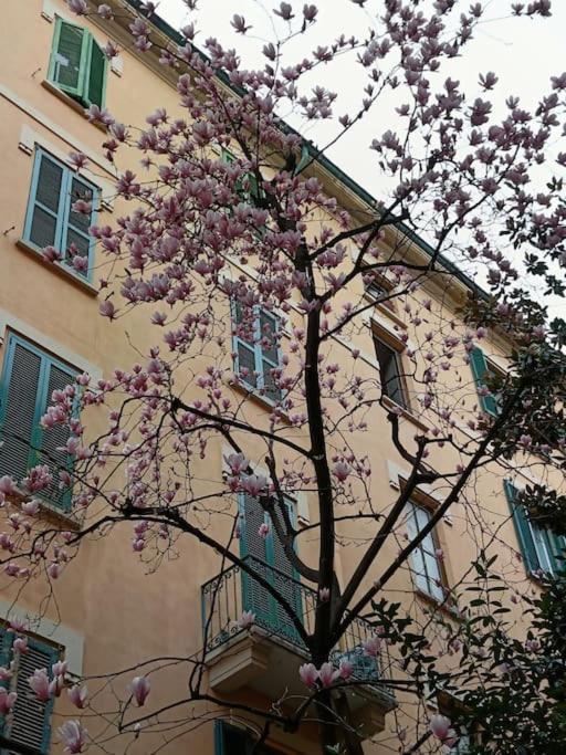Da Rosa E Pier - Charming Central Apartment Milán Exteriér fotografie